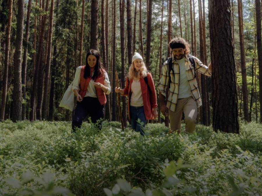 Drei junge Wanderer in lässiger Outdoor-Kleidung laufen durch hohes Gras im sonnigen Wald